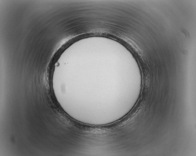 X0000116651022201001041046