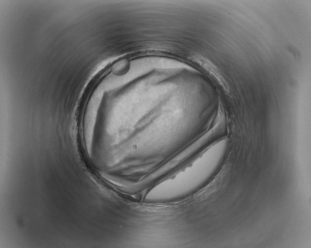 X0000116651024201001041046