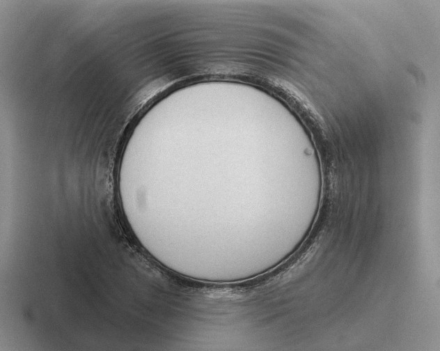 X0000116651025201001041046