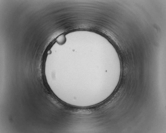 X0000116651026201001041046