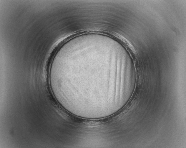 X0000116651027201001041046