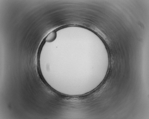 X0000116651028201001041046