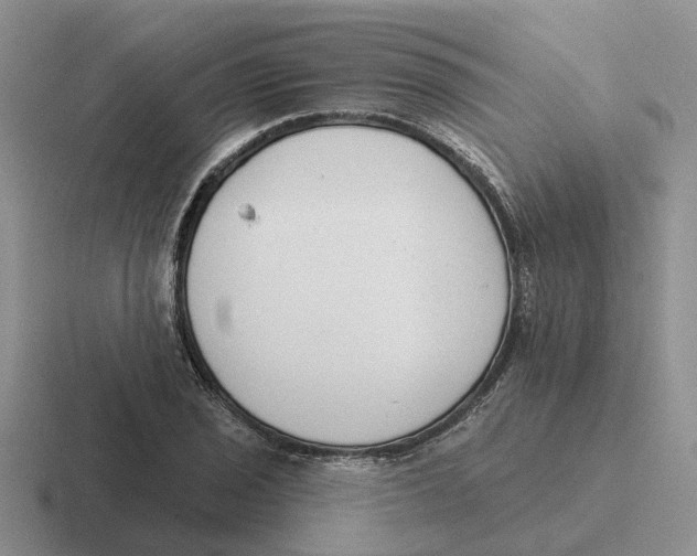 X0000116651029201001041046