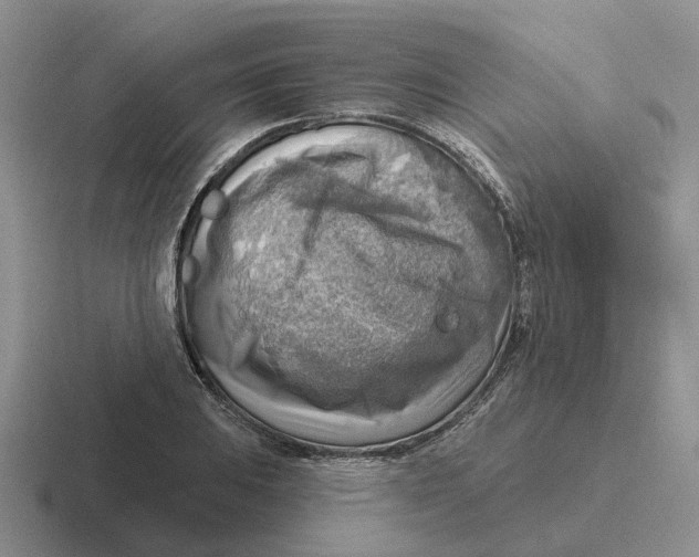 X0000116651031201001041046