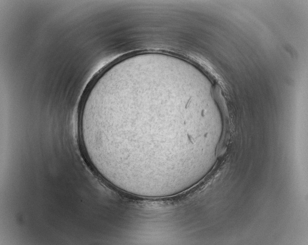 X0000116651032201001041046