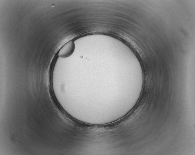 X0000116651034201001041046