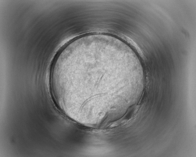 X0000116651035201001041046