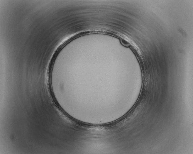 X0000116651037201001041046