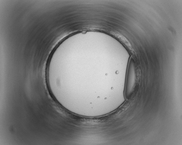 X0000116651039201001041046