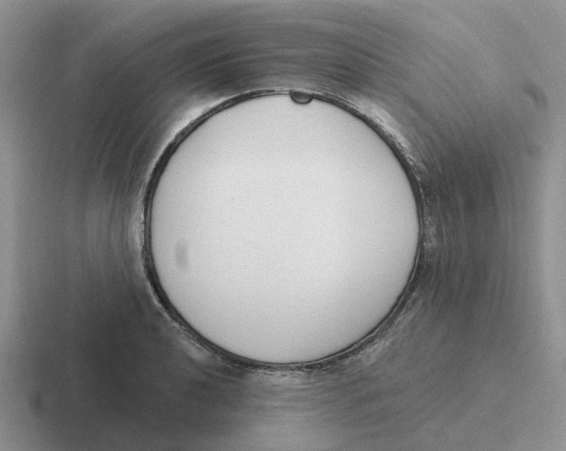 X0000116651040201001041046