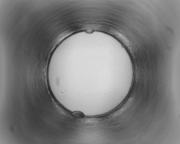 X0000116651041201001041046