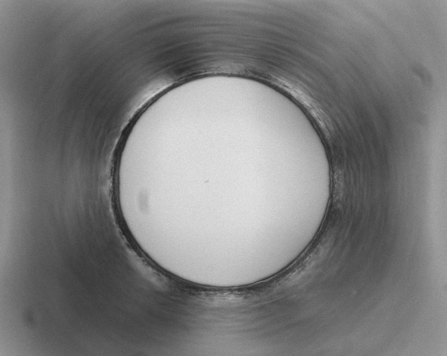 X0000116651042201001041046