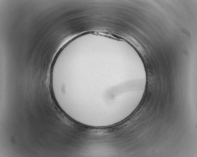 X0000116651044201001041046