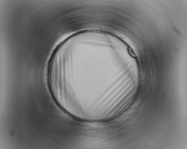 X0000116651045201001041046