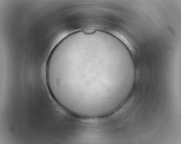 X0000116651047201001041046