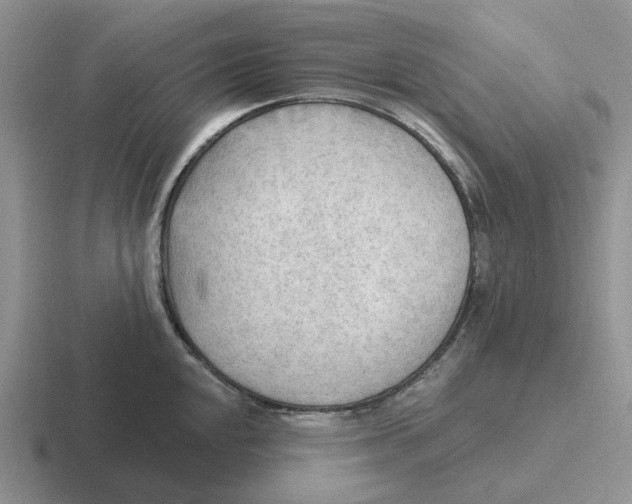 X0000116651048201001041046