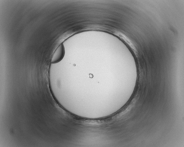 X0000116651049201001041046