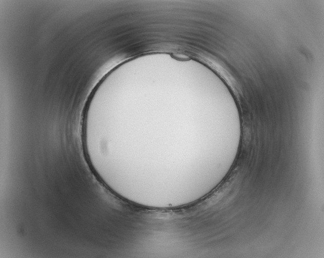 X0000116651050201001041046