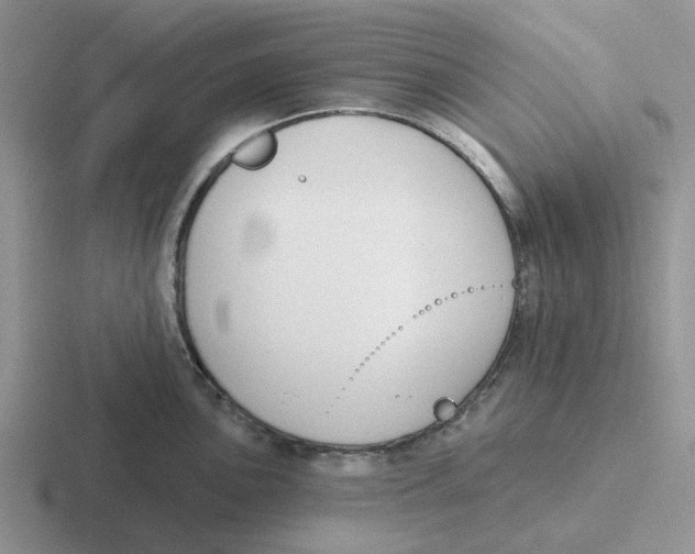 X0000116651051201001041046