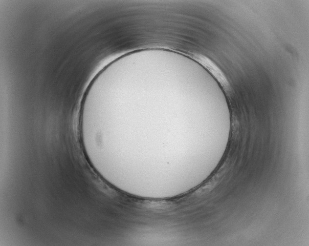 X0000116651052201001041046