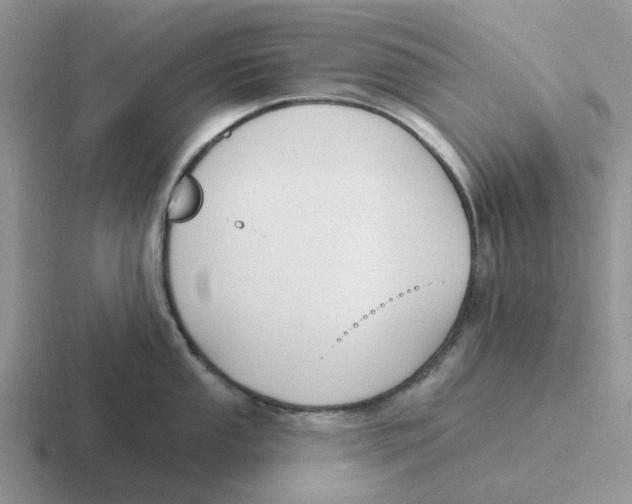 X0000116651053201001041046