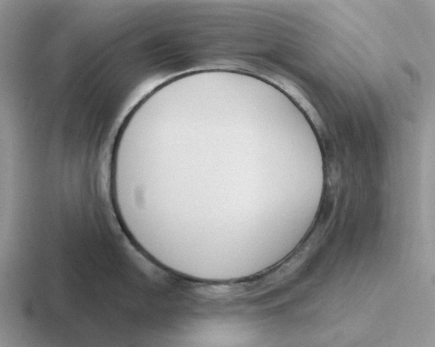 X0000116651054201001041046