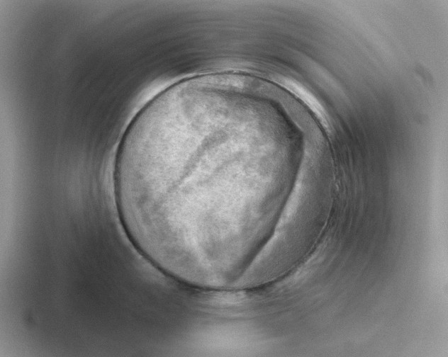 X0000116651055201001041046