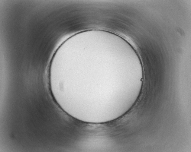 X0000116651056201001041046