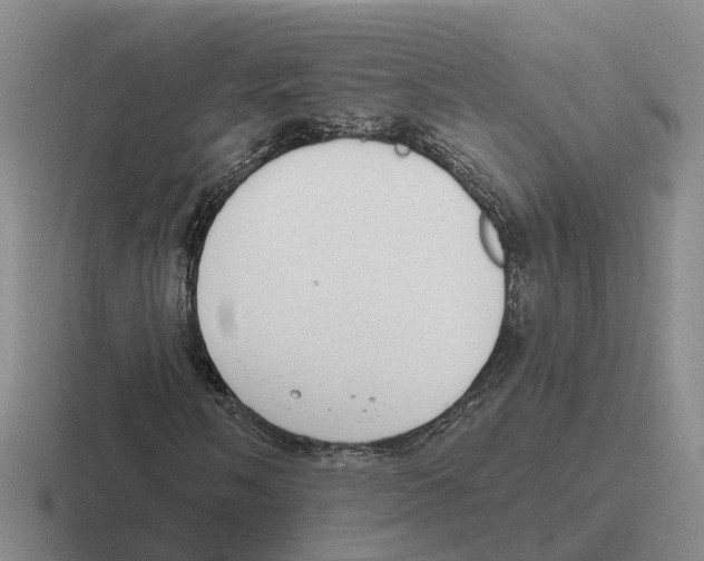 X0000116651058201001041046