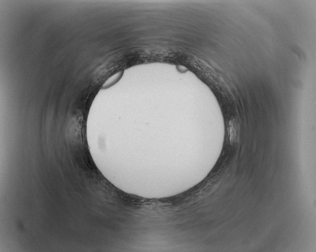 X0000116651059201001041046