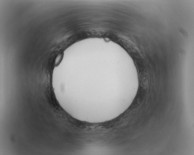 X0000116651061201001041046