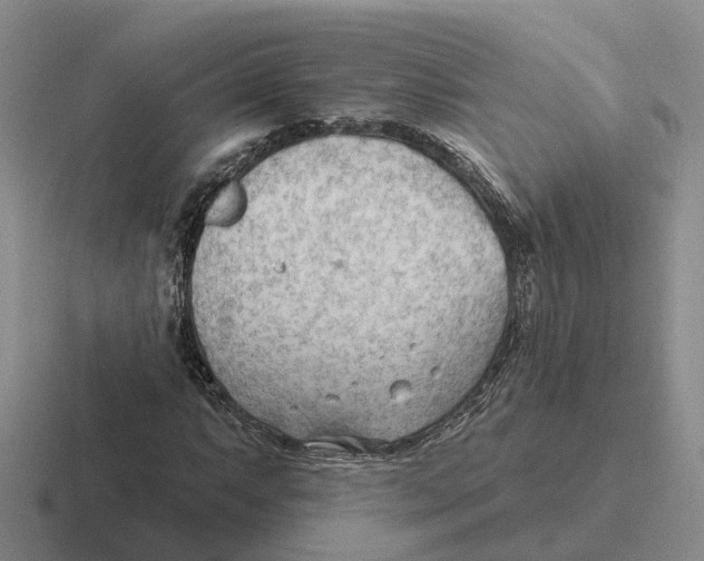 X0000116651063201001041046