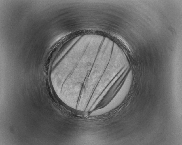 X0000116651064201001041046