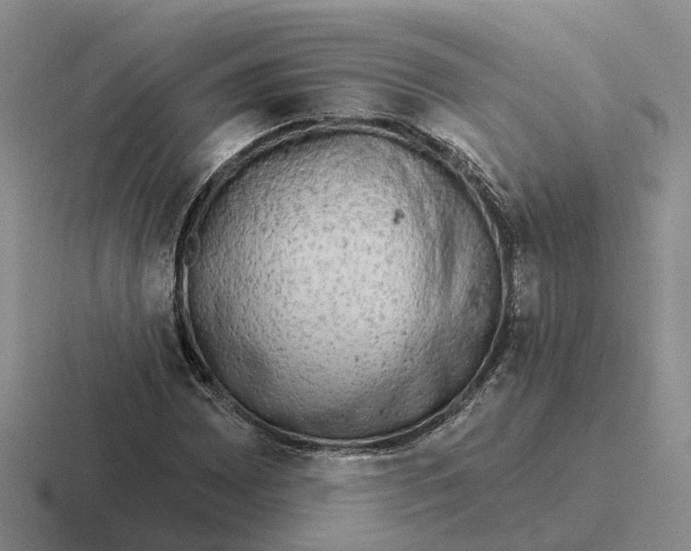 X0000116651065201001041046