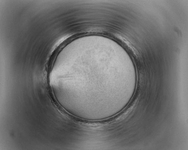 X0000116651066201001041046