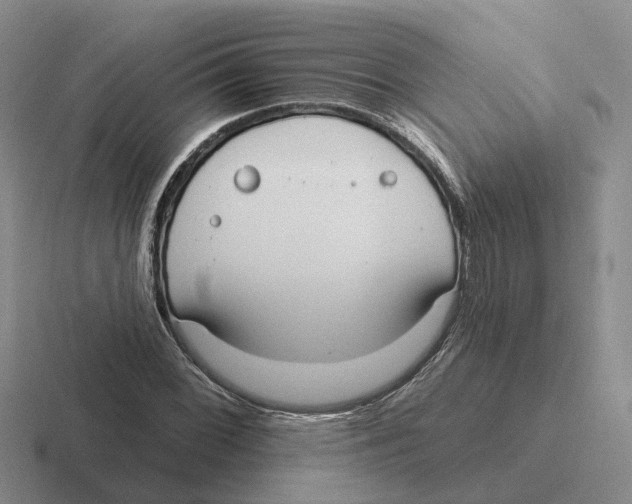 X0000116651068201001041046