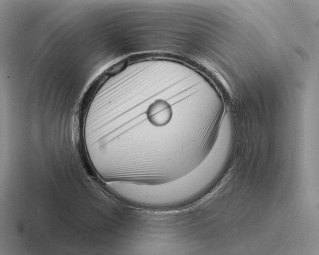 X0000116651069201001041046