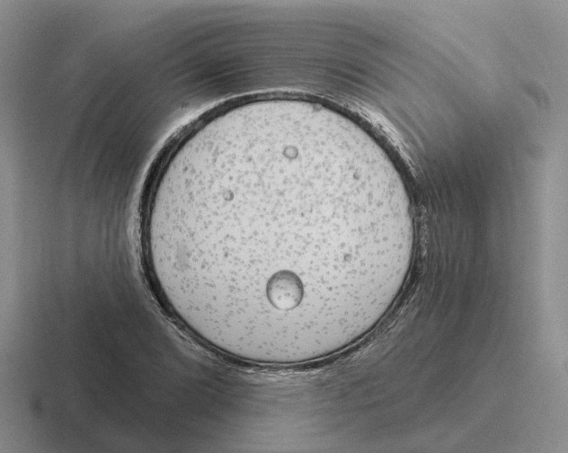 X0000116651072201001041046