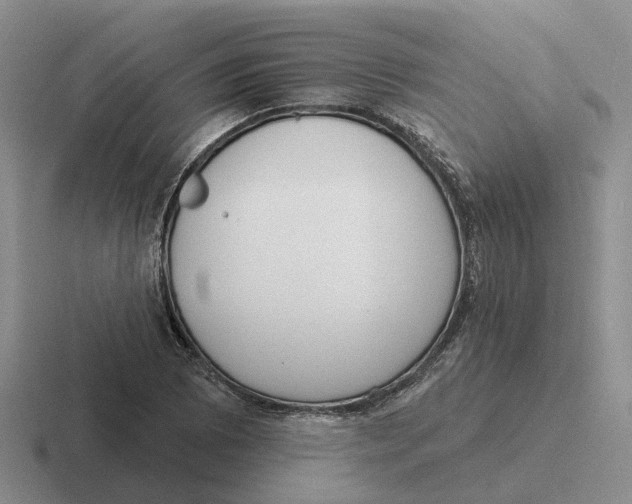 X0000116651073201001041046