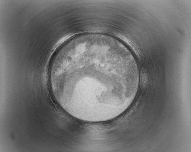 X0000116651074201001041046