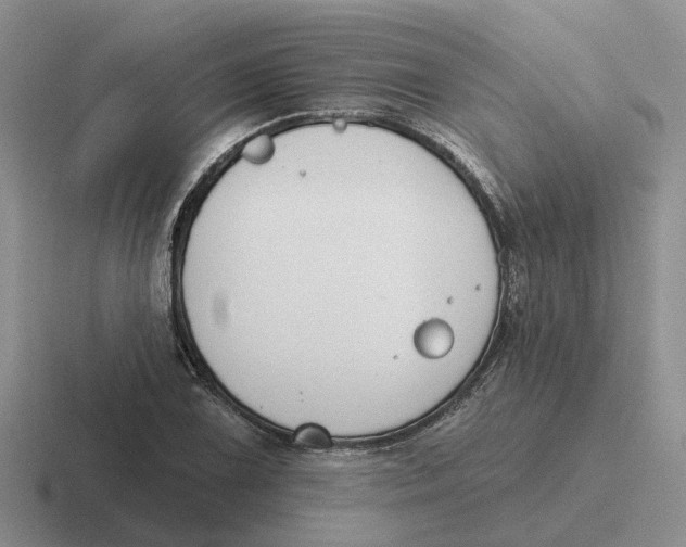 X0000116651075201001041046