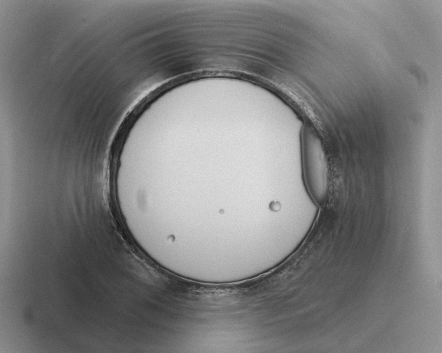 X0000116651076201001041046