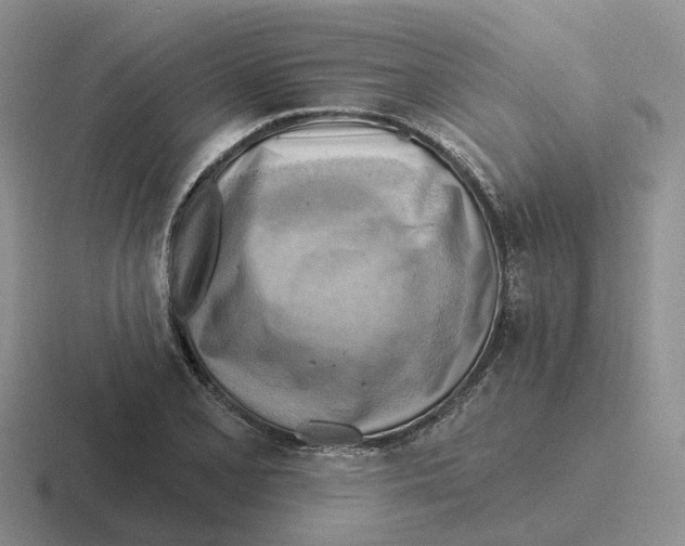 X0000116651077201001041046