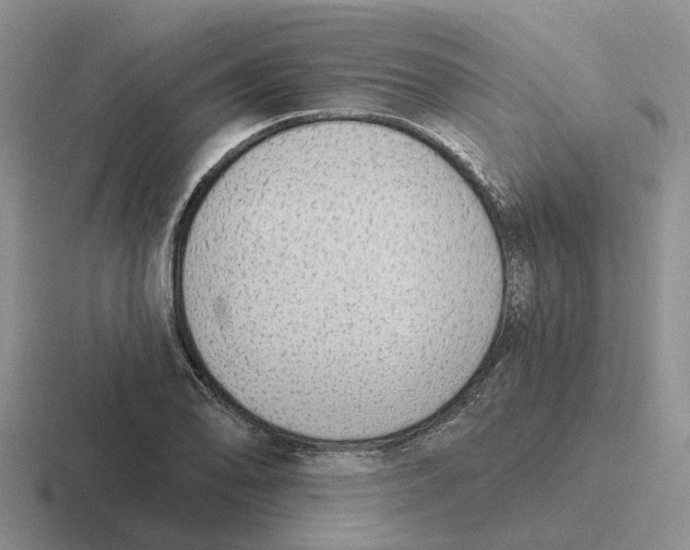 X0000116651078201001041046