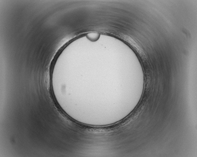 X0000116651079201001041046