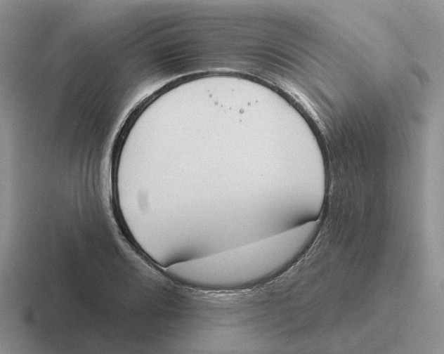 X0000116651080201001041046