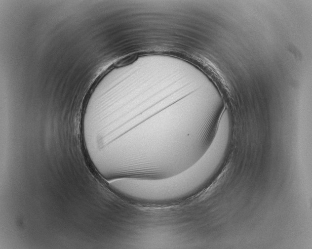 X0000116651081201001041046