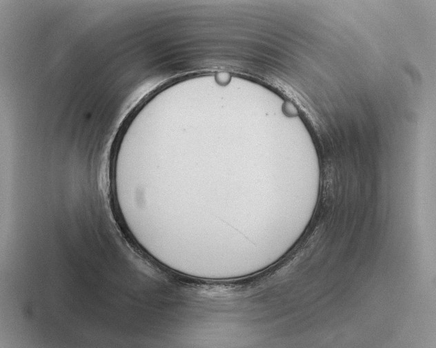 X0000116651082201001041046