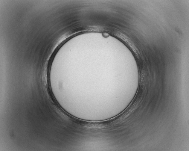 X0000116651083201001041046