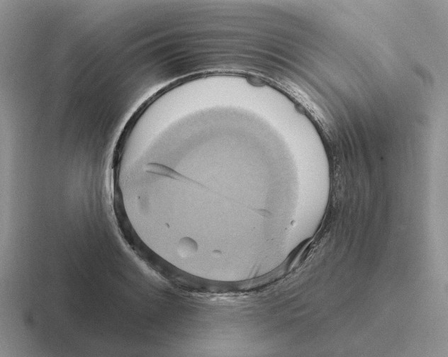 X0000116651084201001041045